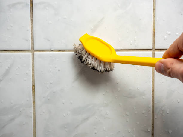 Best Mold Remediation  in Kimball, TN